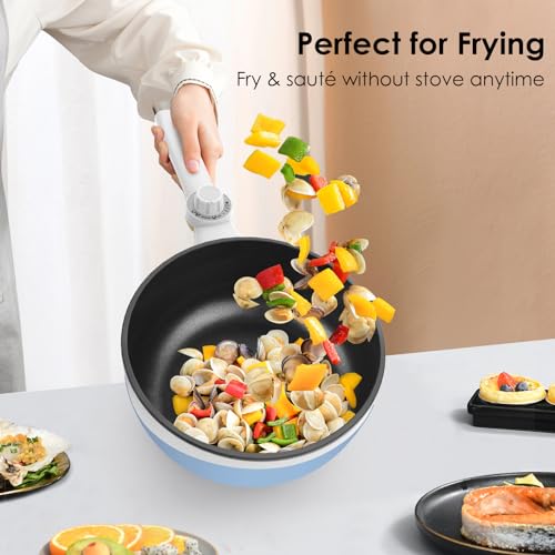 Travel Power Adjustable Electric Hot Pot, Mini Skillet for Quick Cooking
