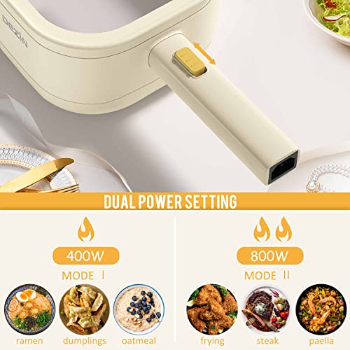 DEZIN Electric Hot Pot with Steamer & Frying Pan for Dorms, Offices, and Travel