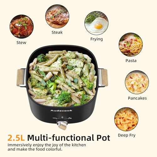 Audecook 2.5L Portable Electric Hot Pot for 1-3 People (Black)