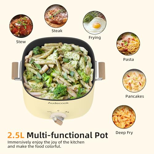 Audecook Beige 2.5L Portable Electric Hot Pot 1-3 Persons Dual Temp Control